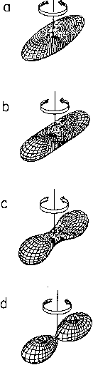 Hachisu scenario